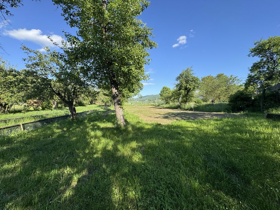 Teren intravilan 3000 mp – CENTRU Budila