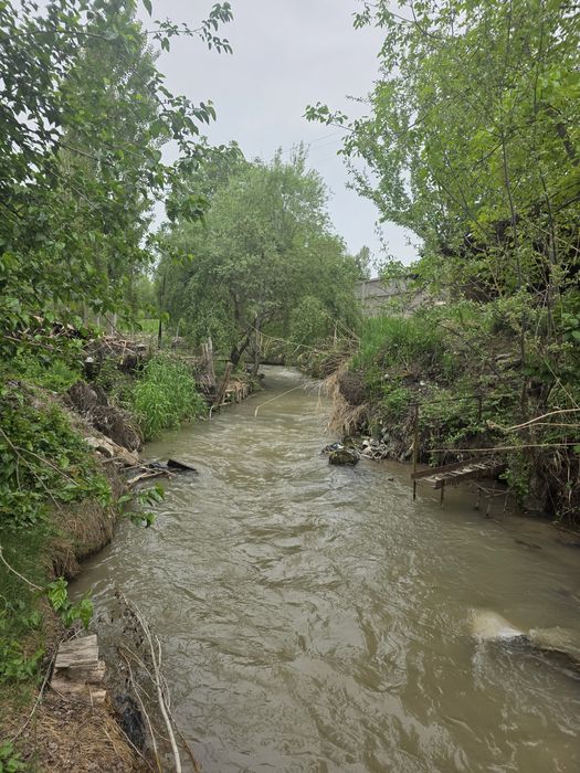 Кибрай тумани Бурота махалласида 12 сотихли ер участкаси сотилади.