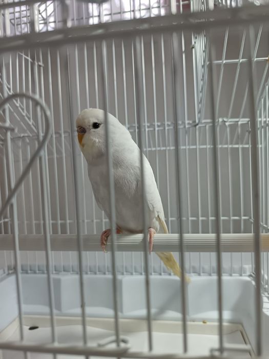 Подарок на дни рождения