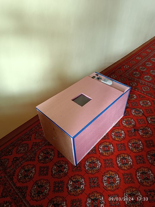 INKUBATOR zakaz olamiz