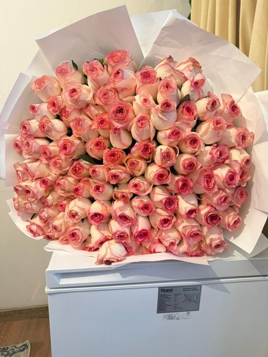 101 роза цветы свежие