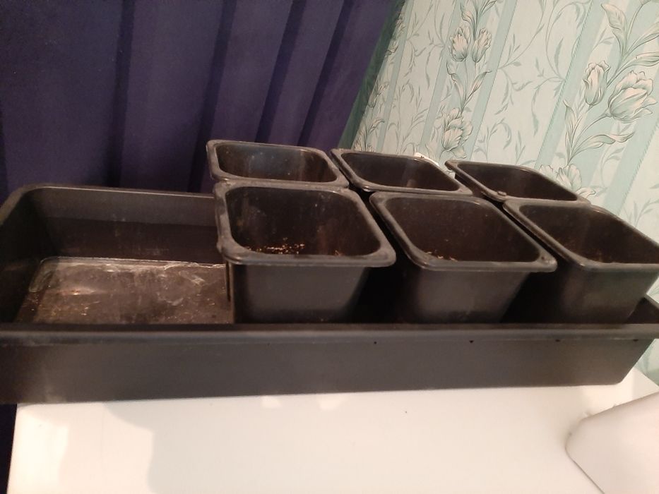 Горшки для рассады