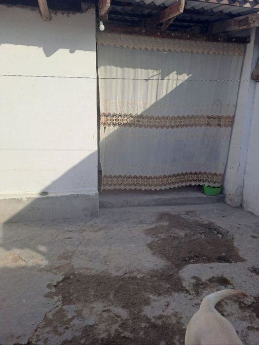 Продается дом борачного типа