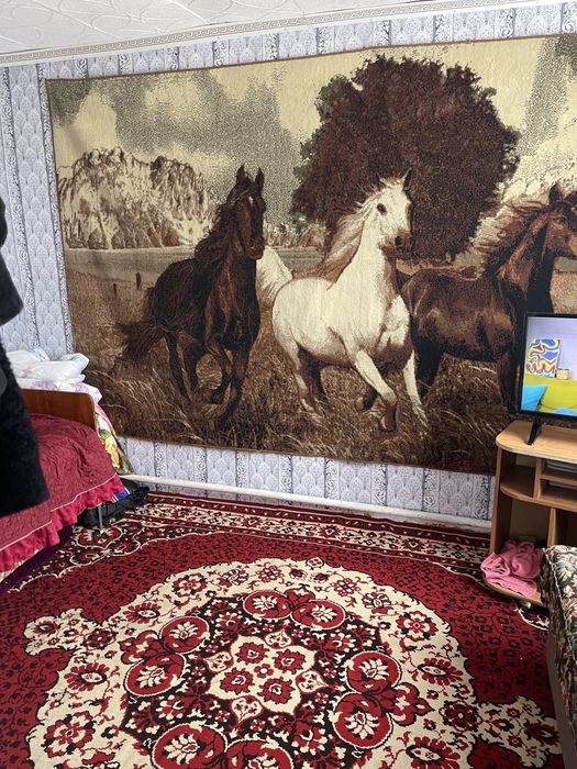 Продам дом в мамлютке