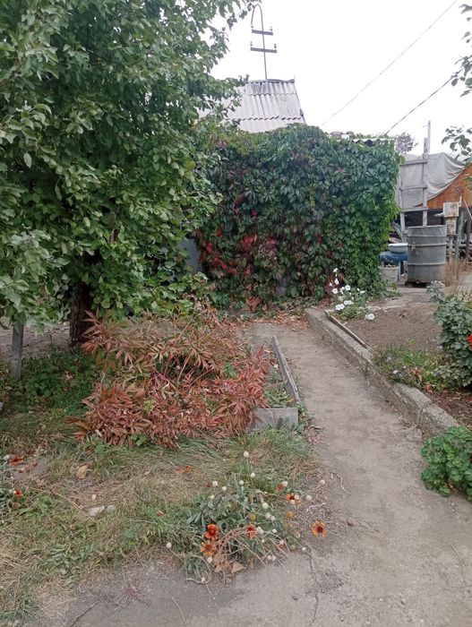 Продам дачный участок