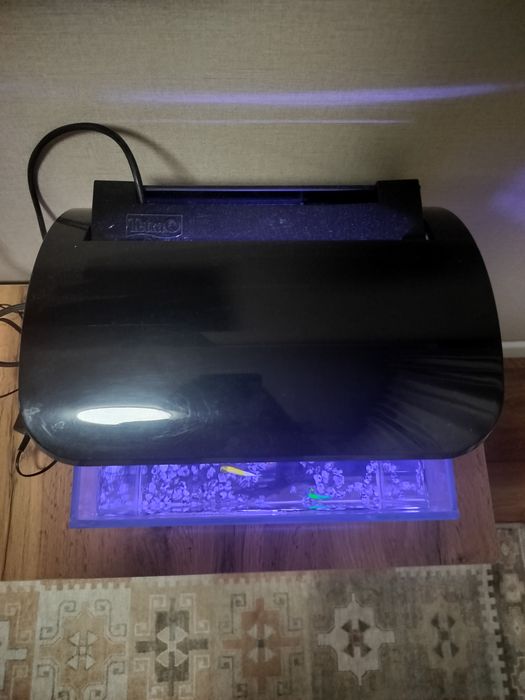 Аквариум Tetra, 10 литров