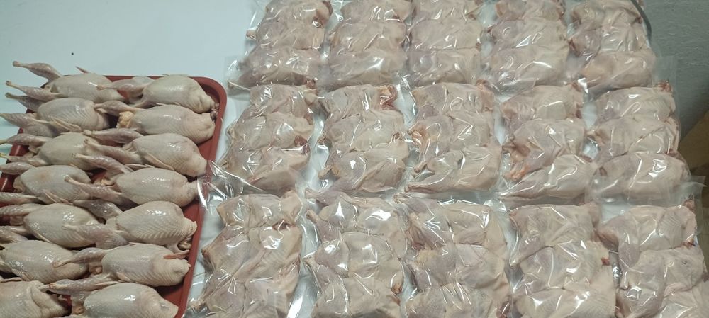 Продам мясо перепёлки