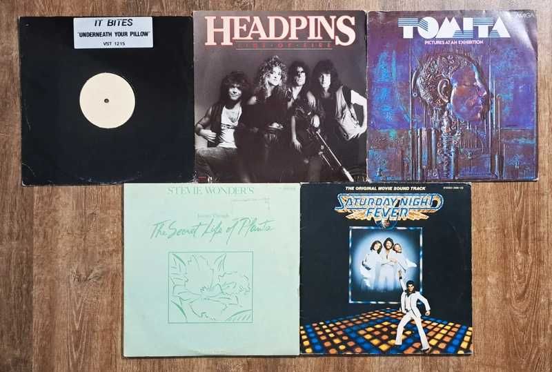 Lot 7 discuri vinyl