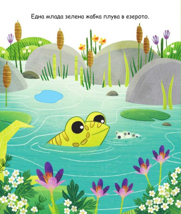 Детски книжки с твърди корици и страници