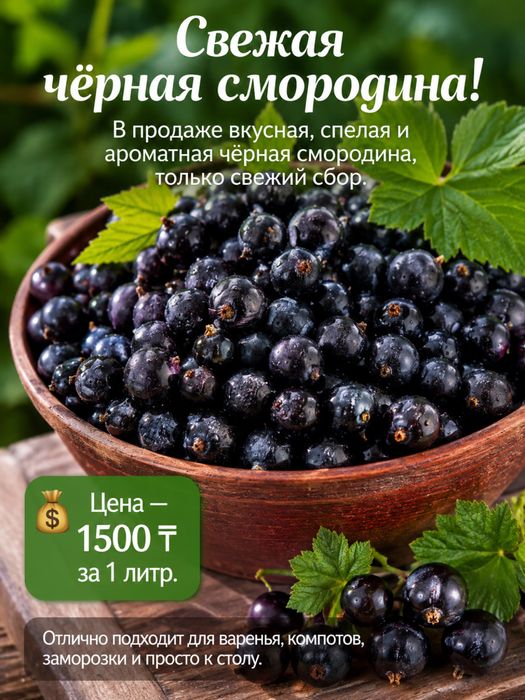 Продам свежую черную смородину