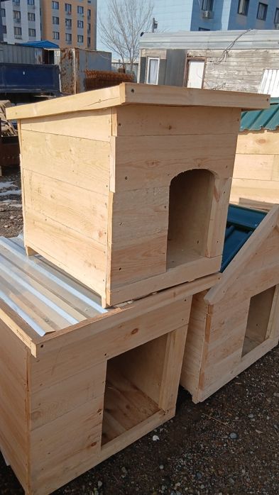 Продам  для  сабачи  бутки