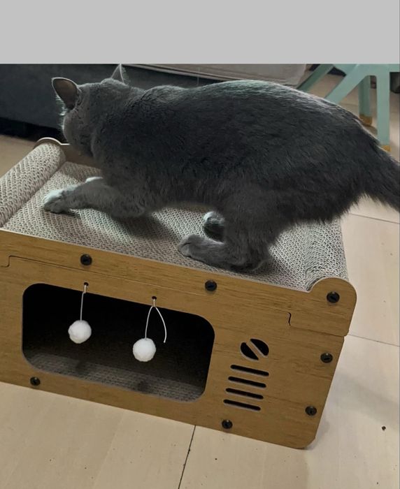 Когтеточка для кошек