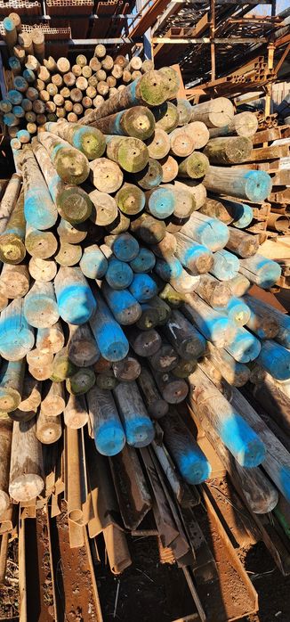 Тусин сасна беларусияники 100мм 130 мм диаметр