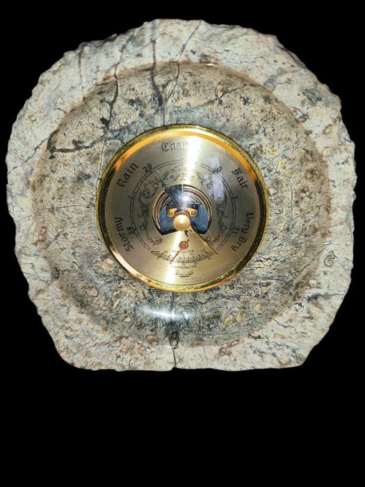 Barometru+termometru Daymaster