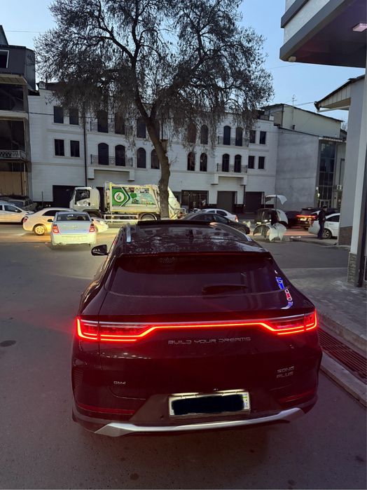 Byd Song plus Dm-i Gibrid 2-poz