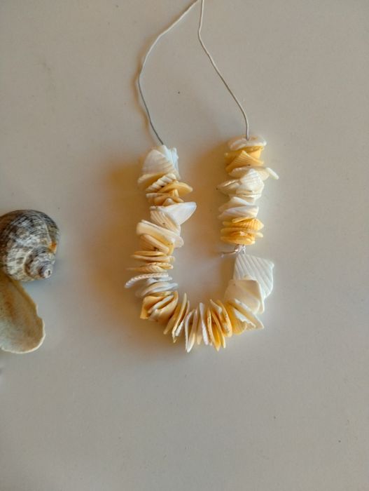 Scoici de diferite feluri