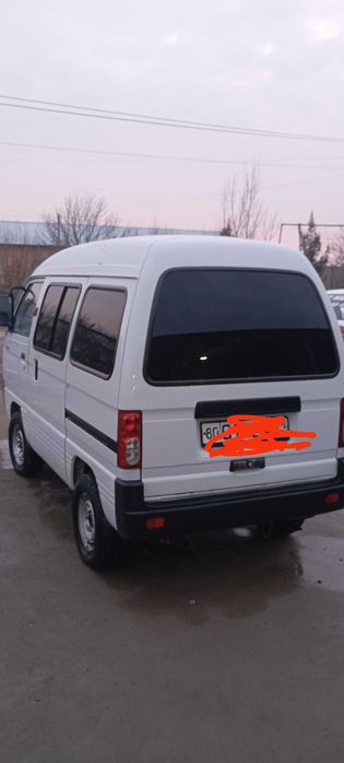 Damas 2009 peshku tumanida