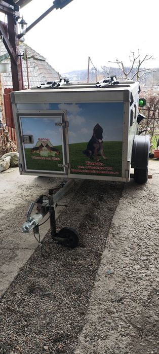 Remorca transport caini