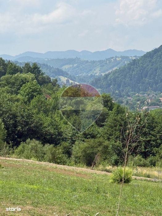 Teren 1,000mp Sohodol, cu utilitati / Strada Sohodol