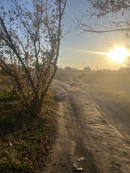 Продам участок на развилке