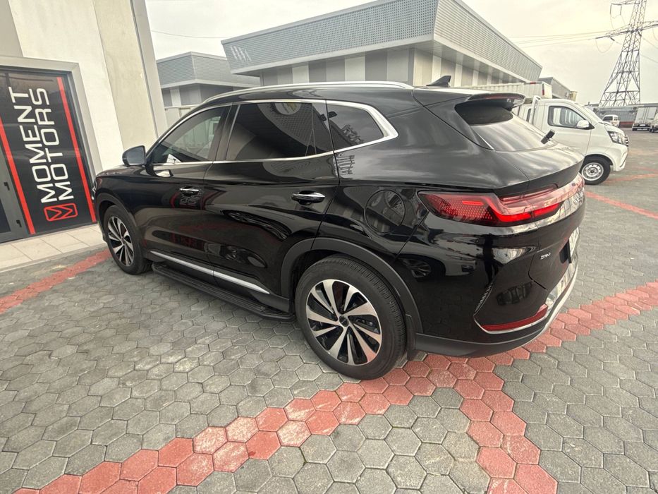 Byd chempion gibrid 2025