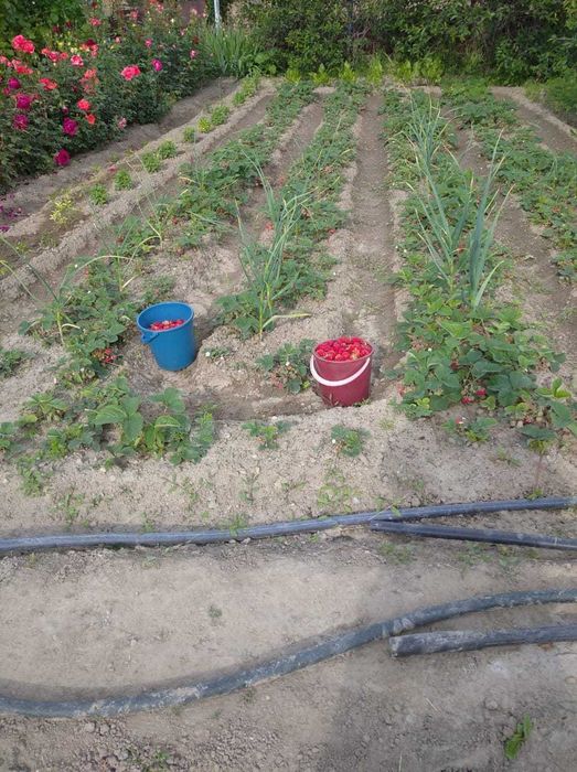 Продается дача срочно