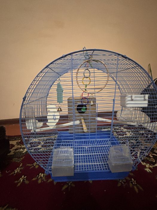 Продам клетку для птиц все необходимое есть.