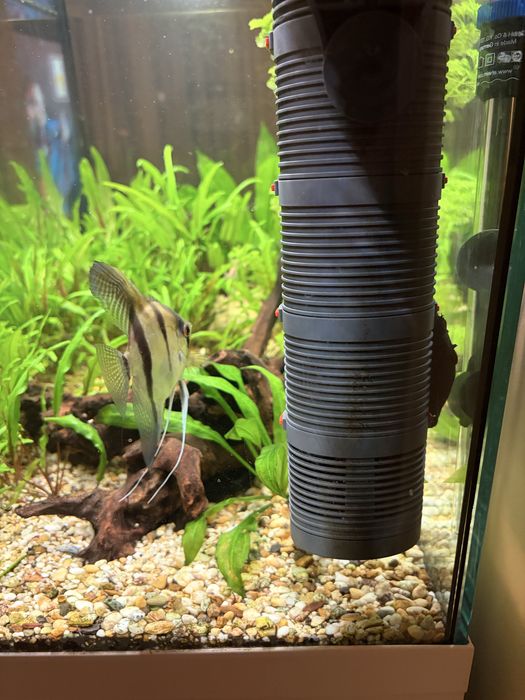 Аквариум EHEIM 126 литра напълно оборудван