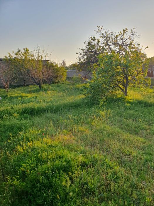 Продам дачу на Шубарсу,торг