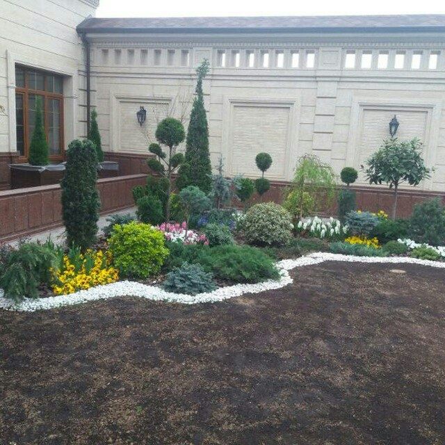 Газон рулонный и семена Цена за 1 рулон*