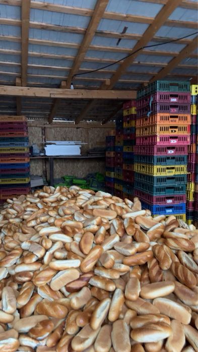 Tărâță de grâu si pâine furajeră