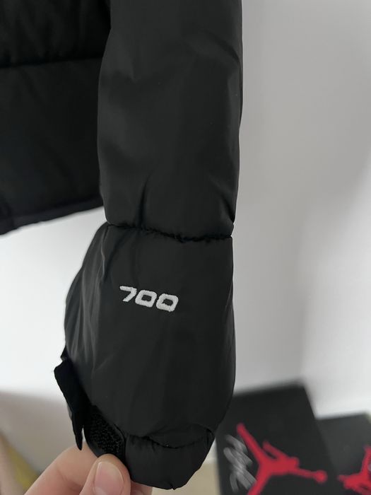 Geaca The north face