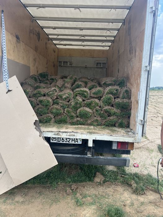 Gazon o’ptim  Abyomda bor  Kopro osela skidka bor