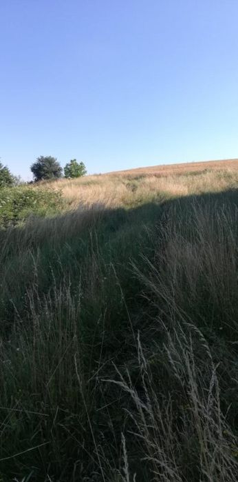 УПИ - 800 м2 в с. Сопица