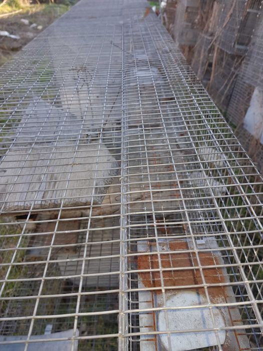 Vand custi chinchilla, iepuri, pasari