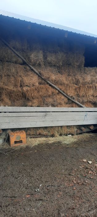 Vând baloți de fân