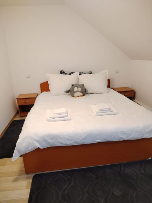 Cazare Toplita regim hotelier