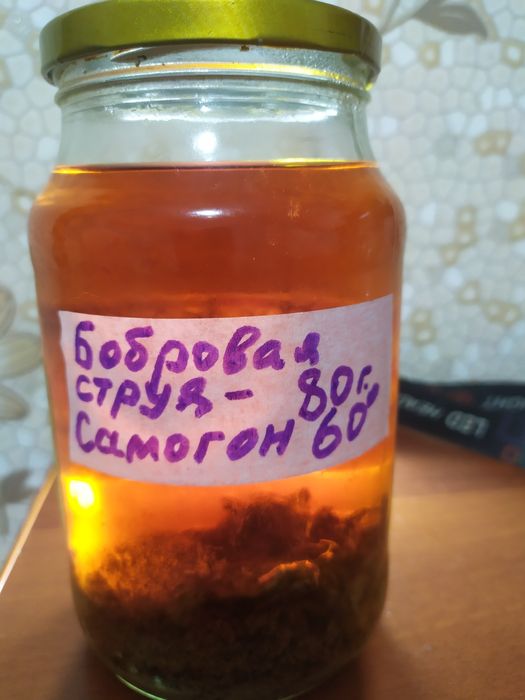 Настойка бобровой струи