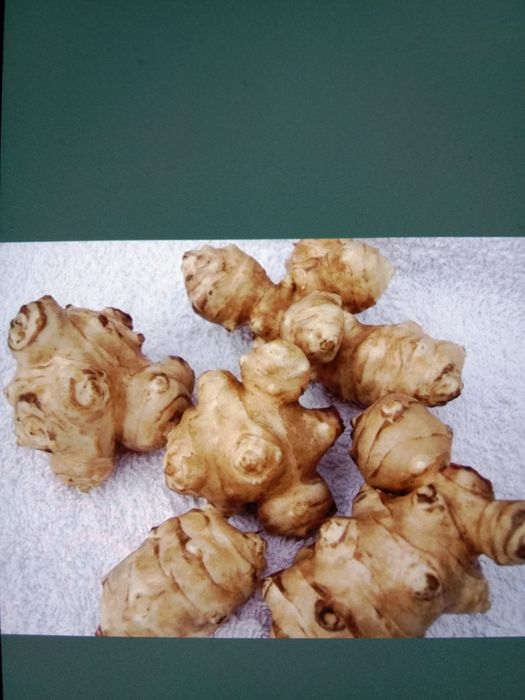 Продам топинамбур