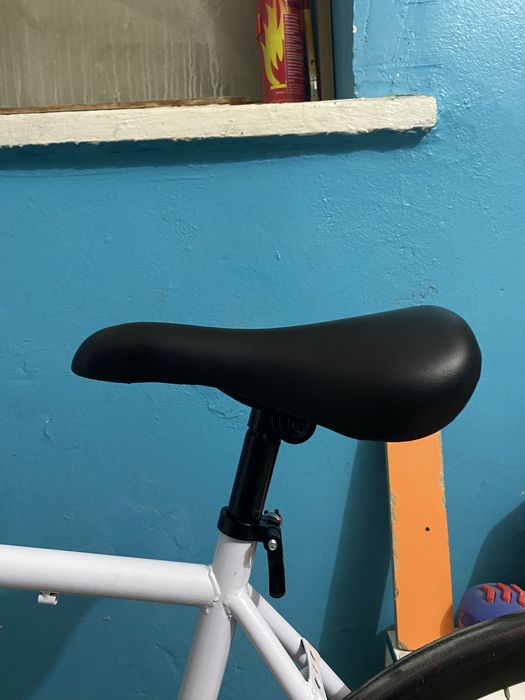 Singlespeed Axion Ghost