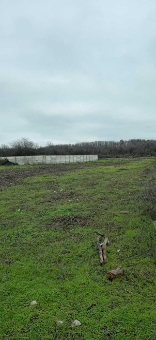 Teren Intravilan Pelendava