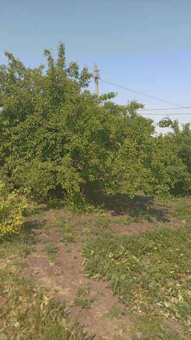 Продам дачу в Железобетонщике