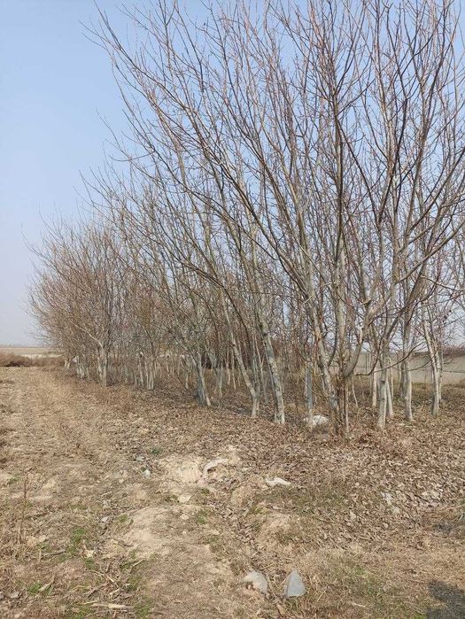 400 СОТОК в стороне Эркин