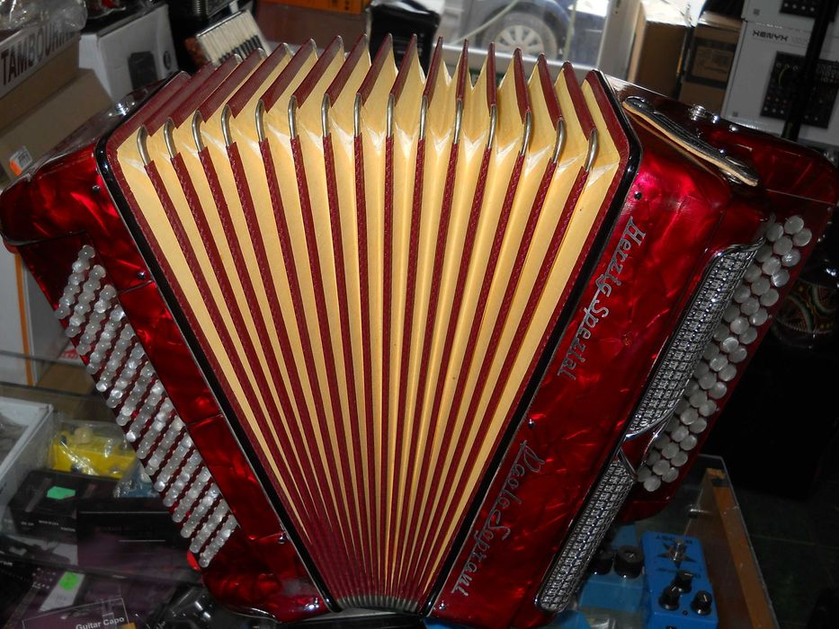 Harmonica PaoloSoprani Herzig Spezial