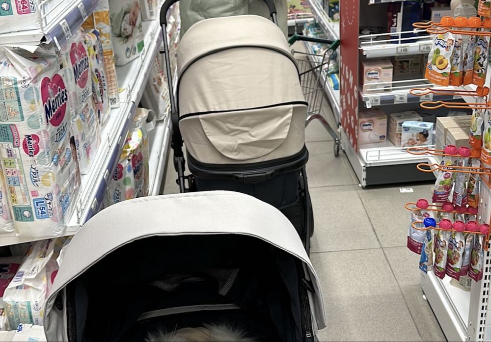 Коляска фирмы rant