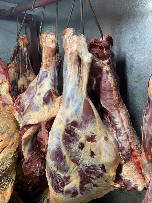 СОҒЫМ жеткізу, бұзып беру!