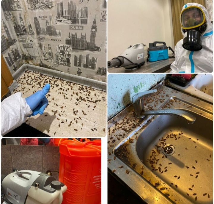 Дезинфекция домов, квартир.