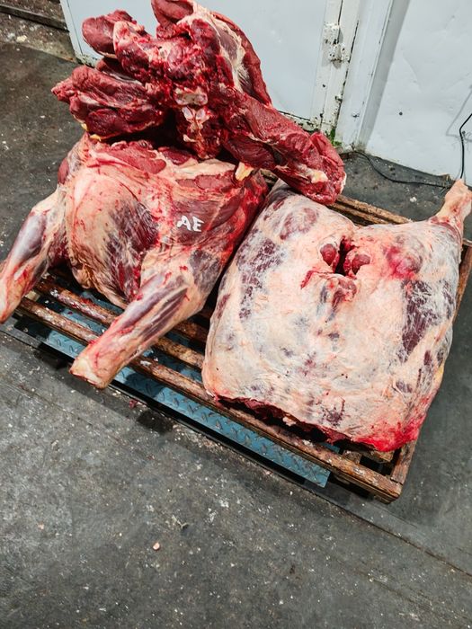 Мясо говядины говяжи