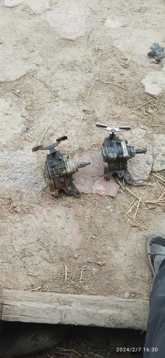 Murabbiy tenglon sotiladi