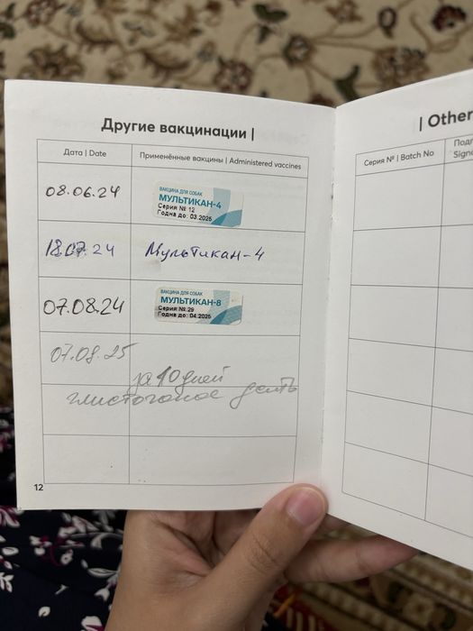 Продам восточно-европейскую овчарку